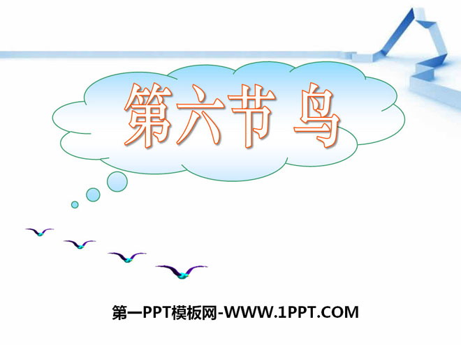 《鸟》动物的主要类群PPT课件3
