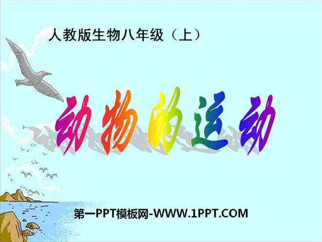 《动物的运动》动物的运动和行为PPT课件5