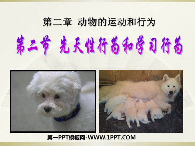 《先天性行为和学习行为》动物的运动和行为PPT课件3