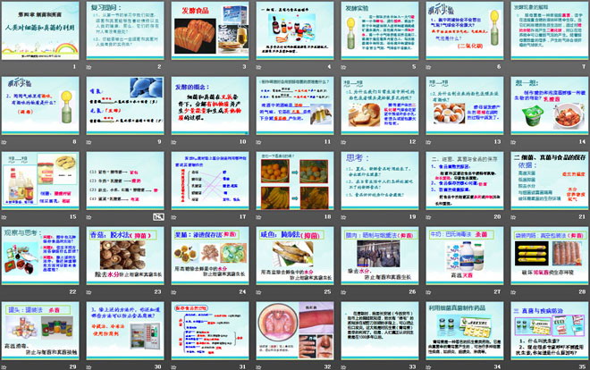《人类对细菌和真菌的利用》细菌和真菌PPT课件3