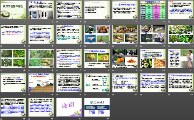 《认识生物的多样性》PPT课件7
