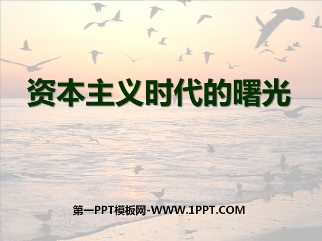 《资本主义时代的曙光》步入近代PPT课件4