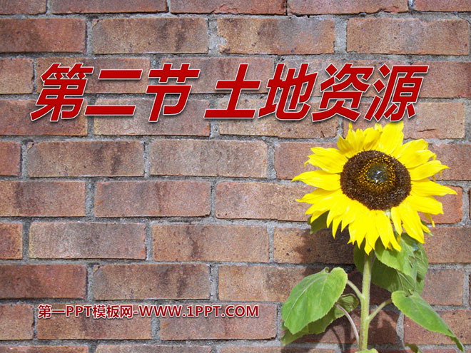《土地资源》中国的自然资源PPT课件