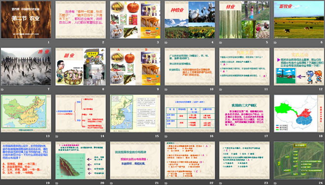 《农业》中国的经济发展PPT课件