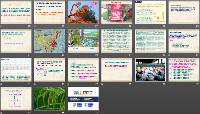 《农业》中国的经济发展PPT课件