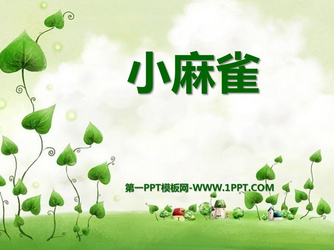 《小麻雀》PPT课件3