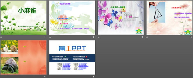 《小麻雀》PPT课件3