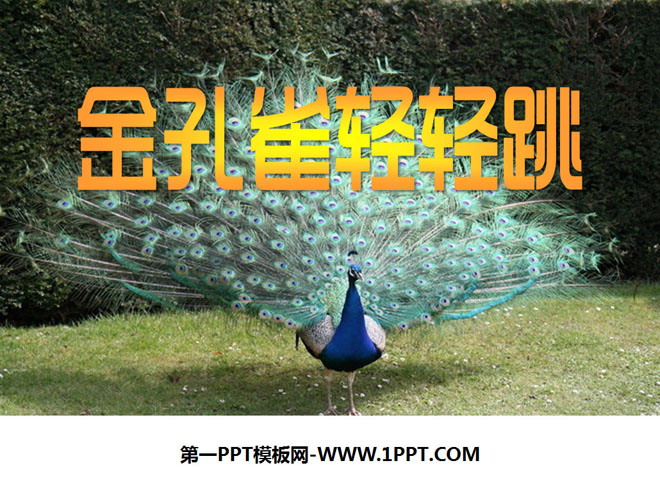 《金孔雀轻轻跳》PPT课件2
