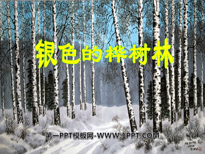 《银色的桦树林》PPT课件2