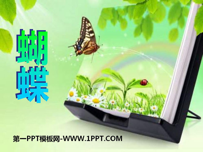 《蝴蝶》PPT课件