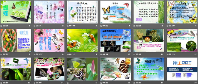 《蝴蝶》PPT课件