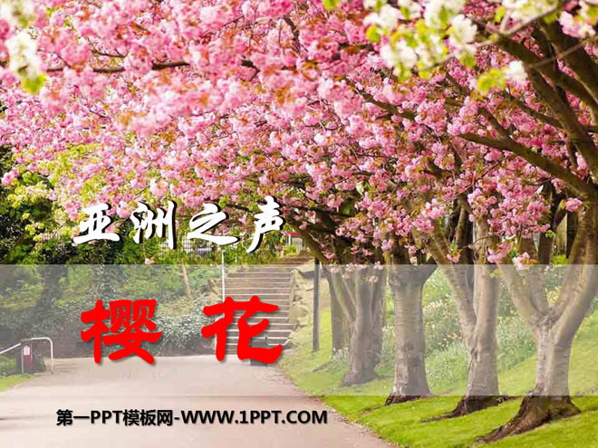 《樱花》PPT课件5