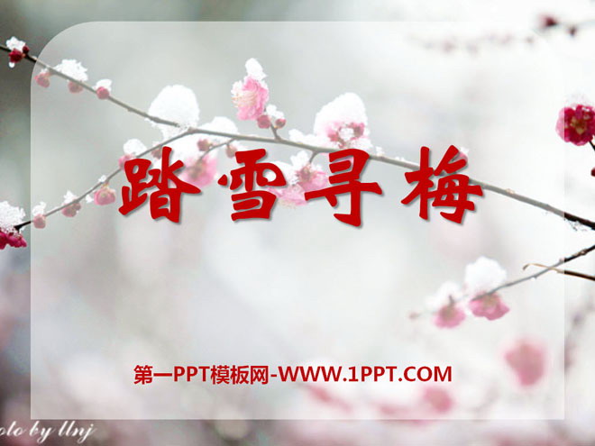 《踏雪寻梅》PPT课件5