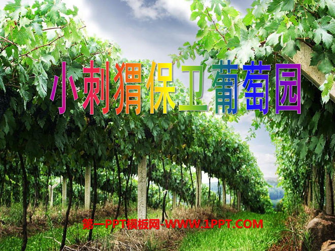 《小刺猬保卫葡萄园故事》PPT课件