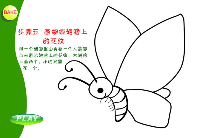 《画蝴蝶》Flash动画课件