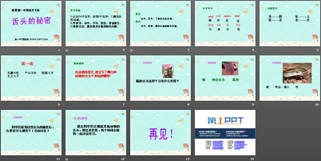 《舌头的秘密》PPT课件2