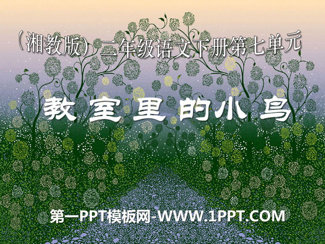 《教室里的小鸟》PPT课件