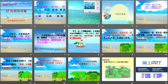 《松树和青藤》PPT课件