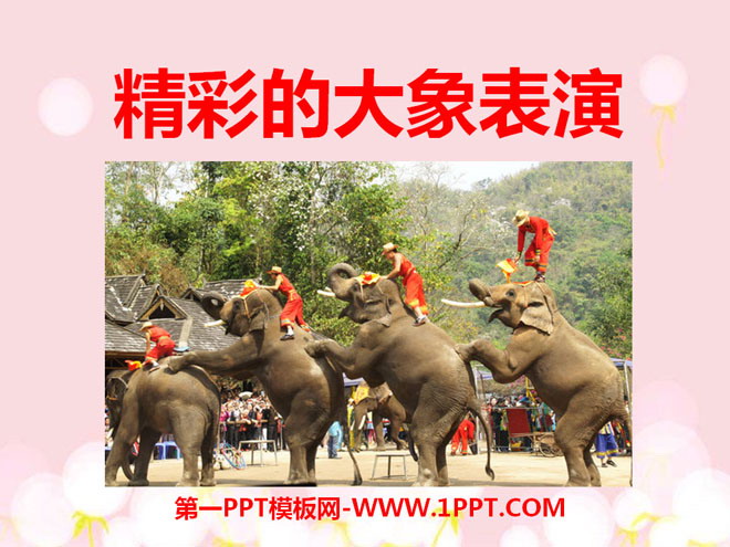 《精彩的大象表演》PPT课件3