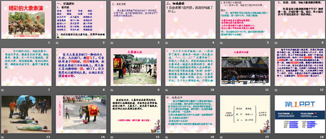 《精彩的大象表演》PPT课件3