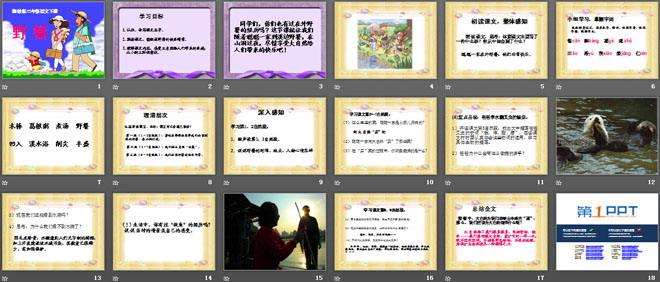 《野餐》PPT课件2