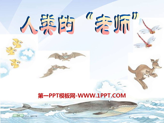 《人类的“老师”》PPT课件2