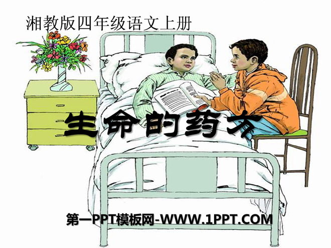 《生命的药方》PPT课件5