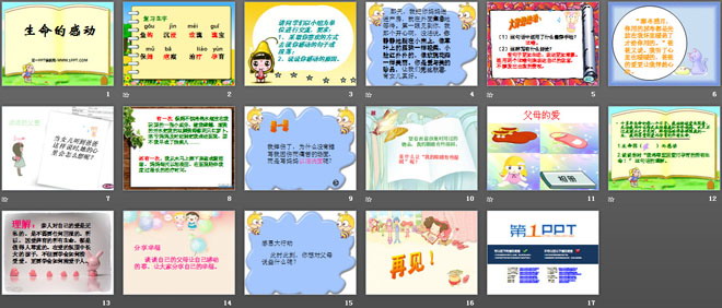 《生命的感动》PPT课件4