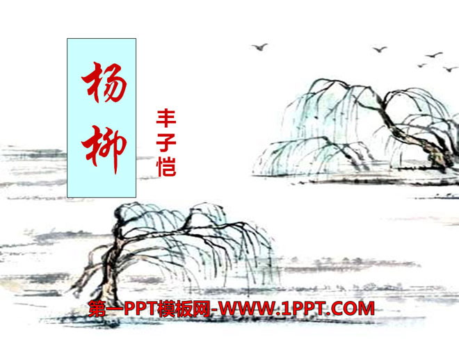 《杨柳》PPT课件2