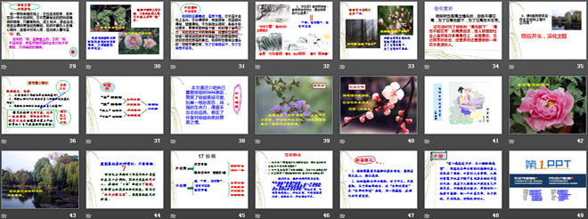 《杨柳》PPT课件2