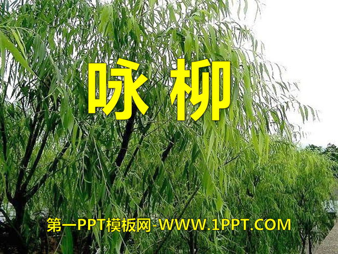 《咏柳》PPT课件11