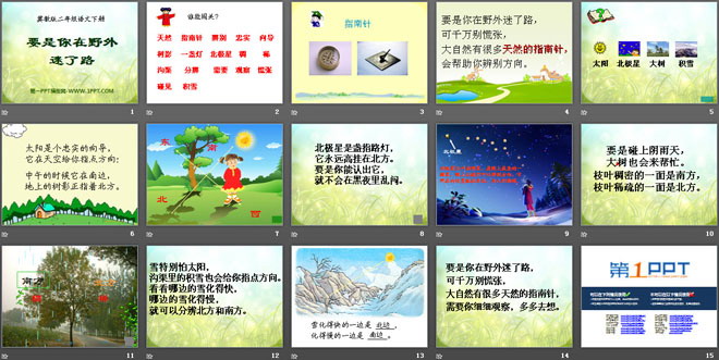 《要是你在野外迷了路》PPT课件10