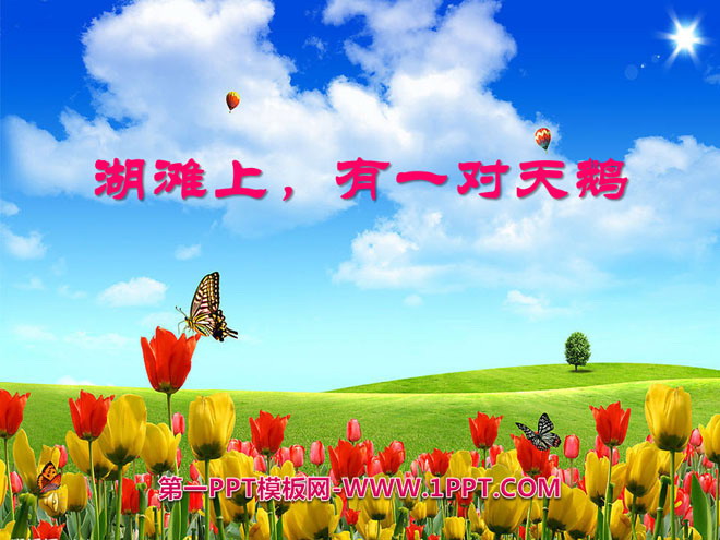 《湖滩上，有一对天鹅》PPT课件