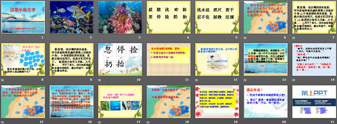 《这条小鱼在乎》PPT课件5