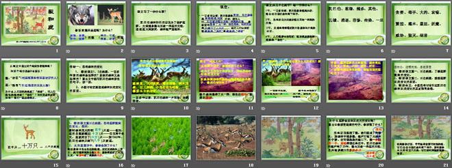 《狼和鹿》PPT课件6