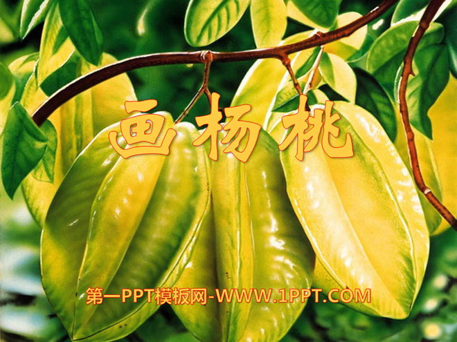 《画杨桃》PPT课件10