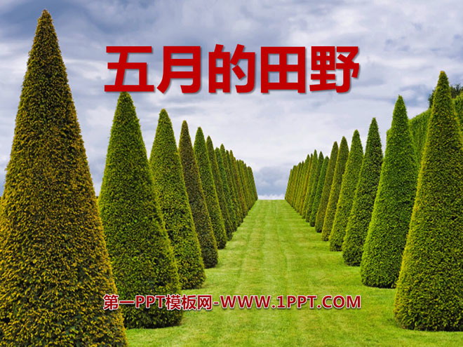 《五月的田野》PPT课件3