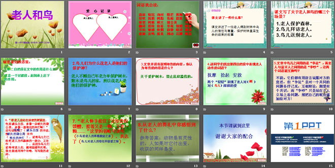 《老人和鸟》PPT课件