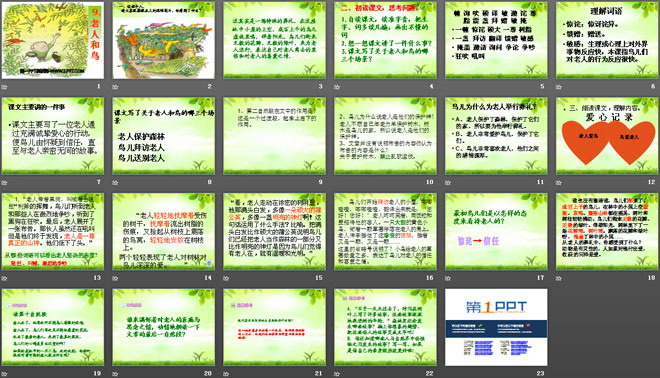 《老人和鸟》PPT课件2