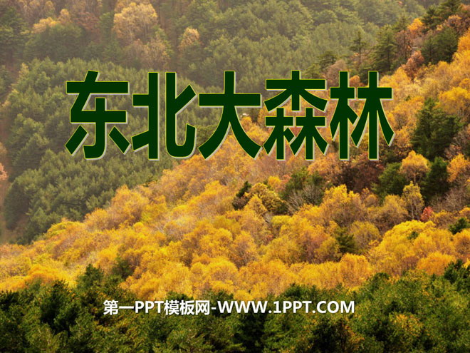 《东北大森林》PPT课件3