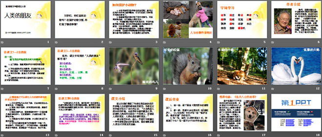 《人类的朋友》PPT课件2