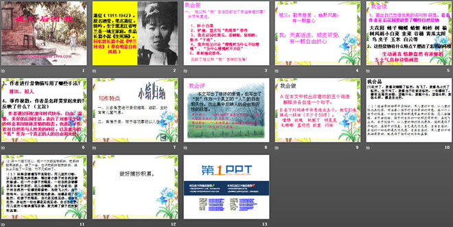 《祖父·后园·我》PPT课件2
