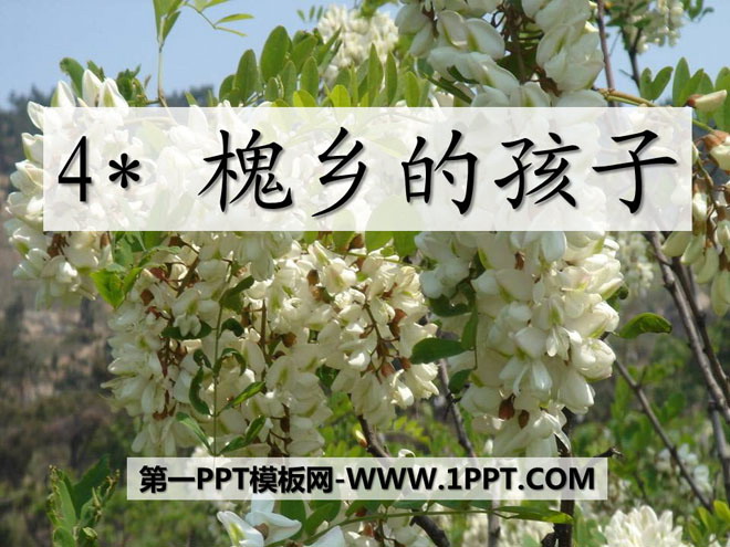 《槐乡的孩子》PPT课件2