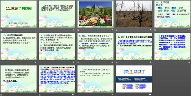 《荒芜了的花园》PPT课件2