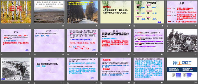 《白杨》PPT课件9