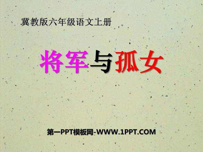 《将军与孤女》PPT课件