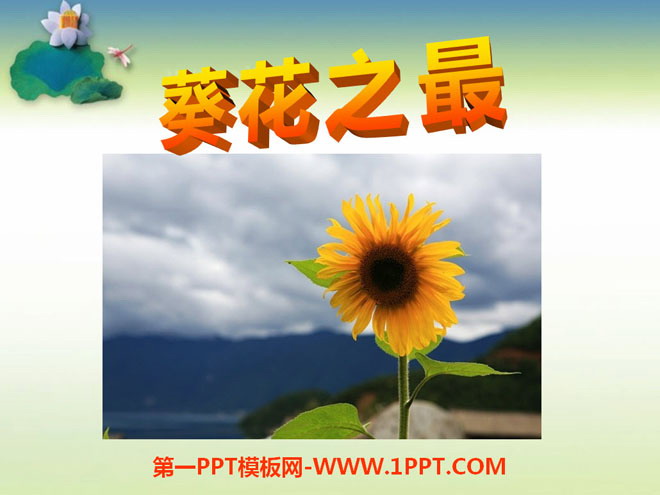《葵花之最》PPT课件