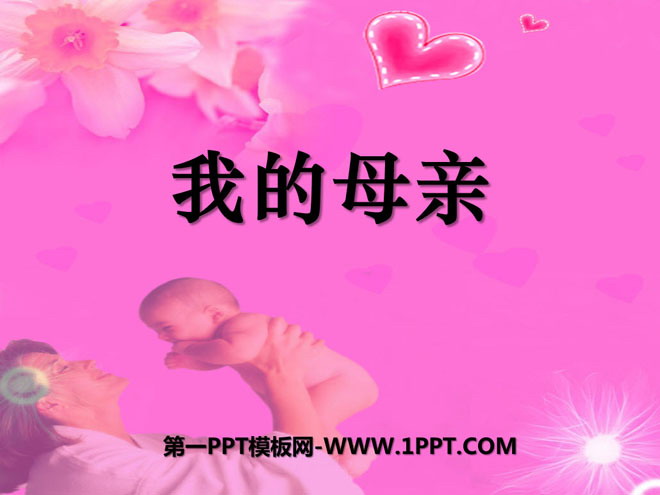 《我的母亲》PPT课件11