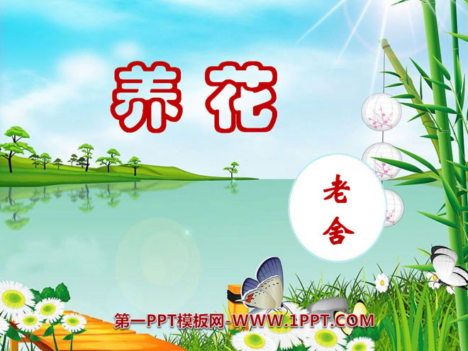 《养花》PPT课件9