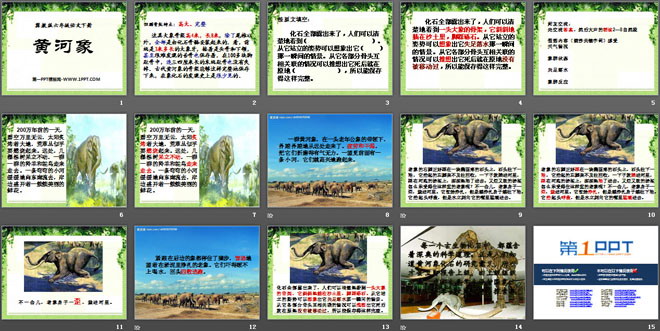《黄河象》PPT课件6